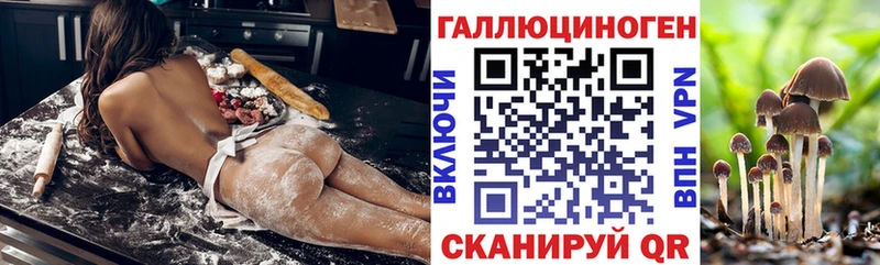 Купить закладки  Светогорск  Псилоцибиновые грибы GOLDEN TEACHER 